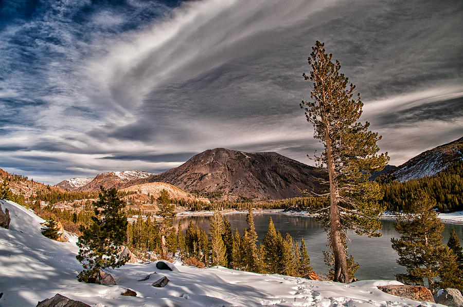 Winter at Ellery Lake Photograph by Cat Connor