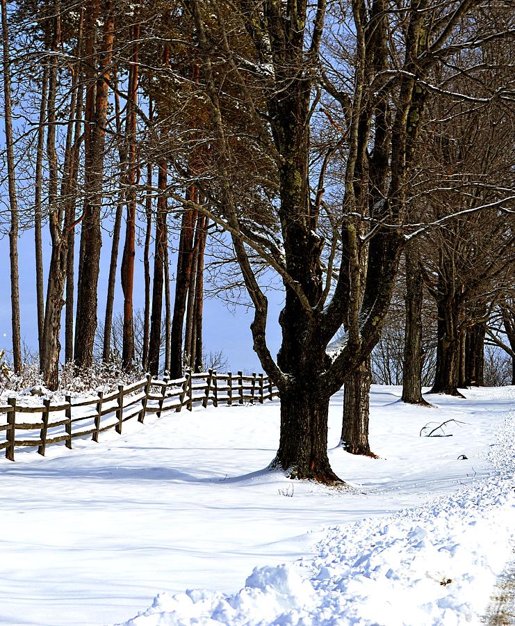 Winter at Highland Farm Photograph by Nina-Rosa Dudy