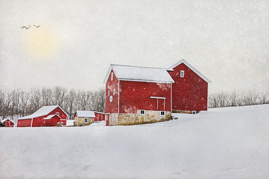 Winter At Maple Row Farm 2014 Photograph by Pat Abbott