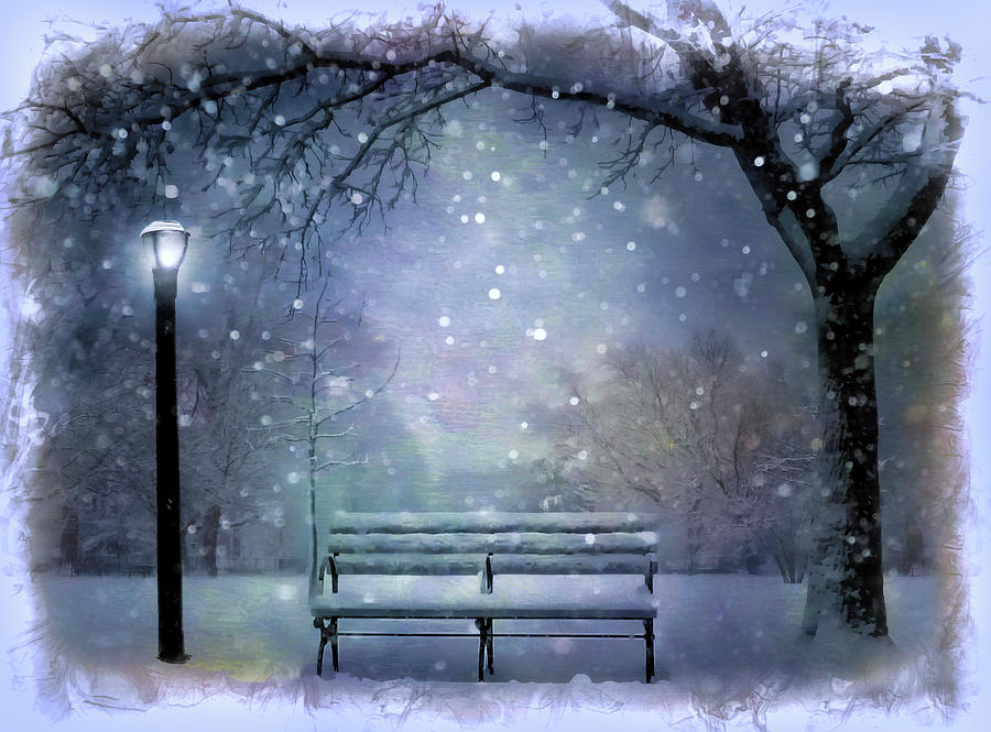 Winter at McAren Park Digital Art by Nina Bradica