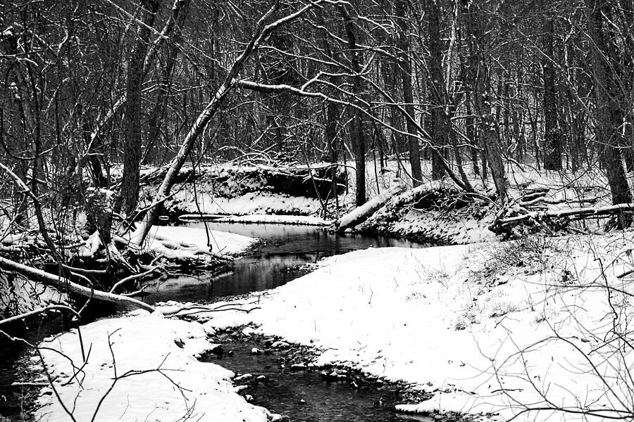 Winter At Pedelo Black And White Photograph by Deena Stoddard