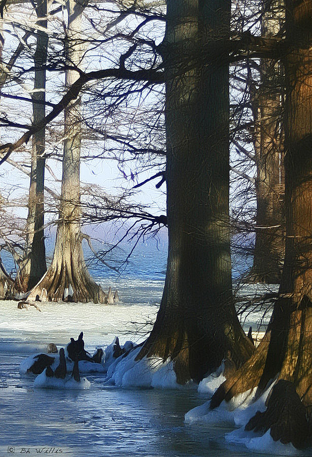 Winter at Reelfoot Lake Photograph by Bonnie Willis