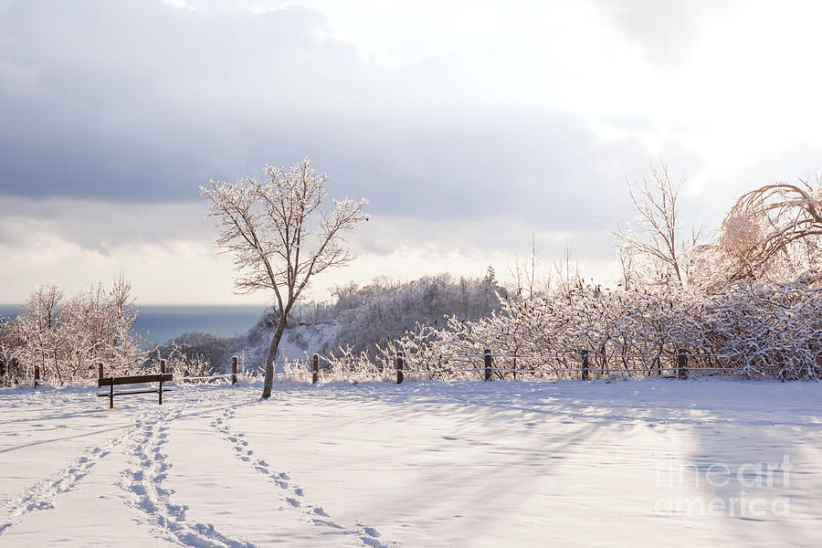 Winter at Scarborough Bluffs Photograph by Elena Elisseeva