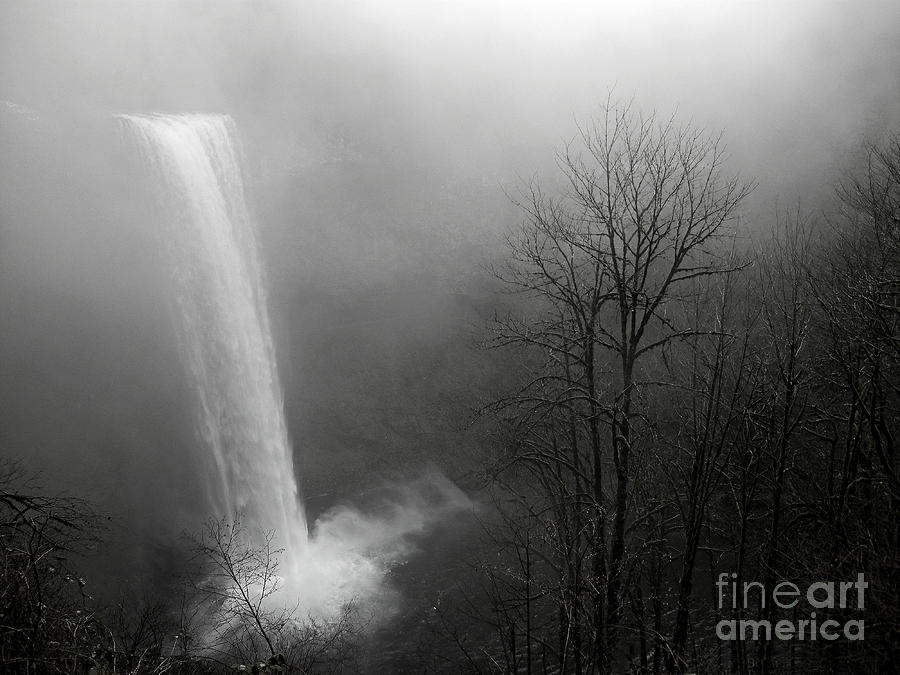 Tree Photograph - Winter At Silver Creek Falls by Nick Boren