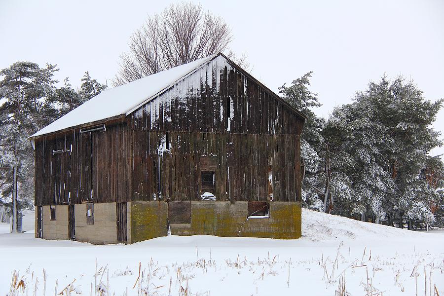 Winter at the Barn Photograph by Davandra Cribbie