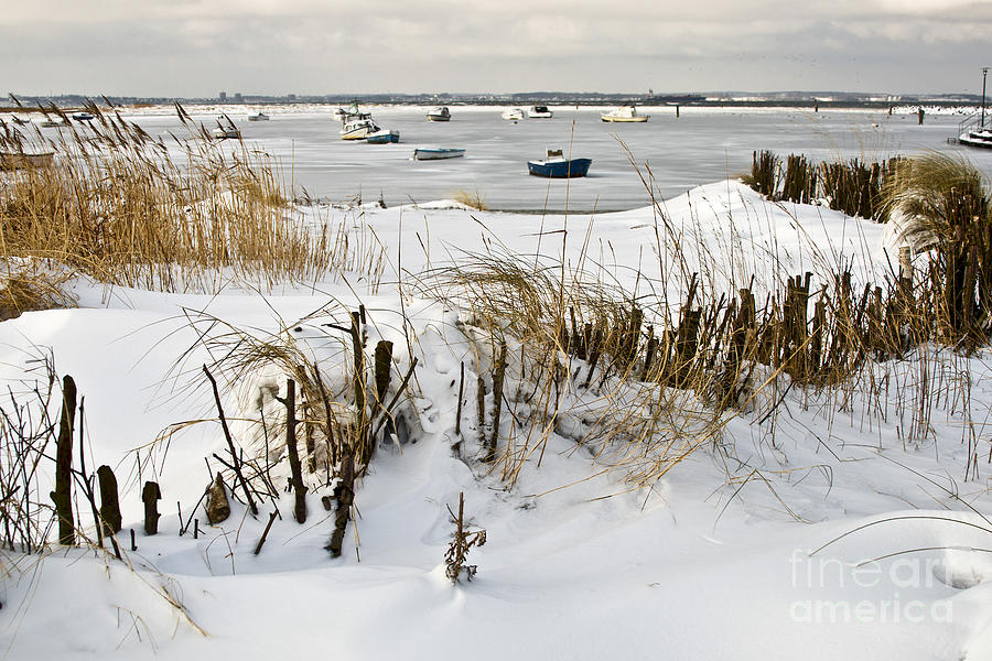 Winter at the Beach 2 Photograph by Heiko Koehrer-Wagner