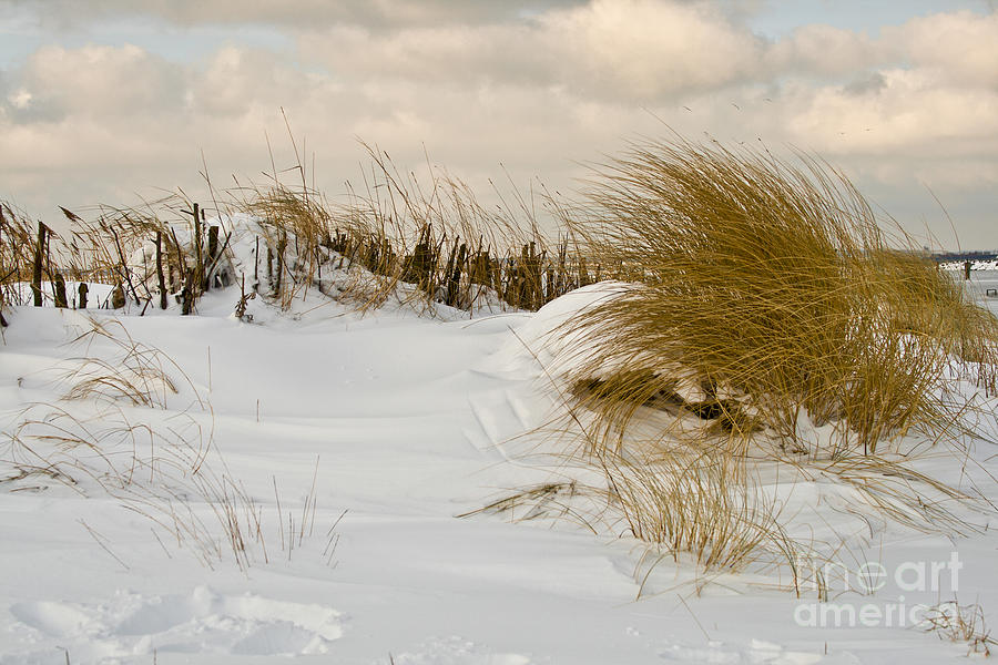 Beach Photograph - Winter at the Beach 3 by Heiko Koehrer-Wagner
