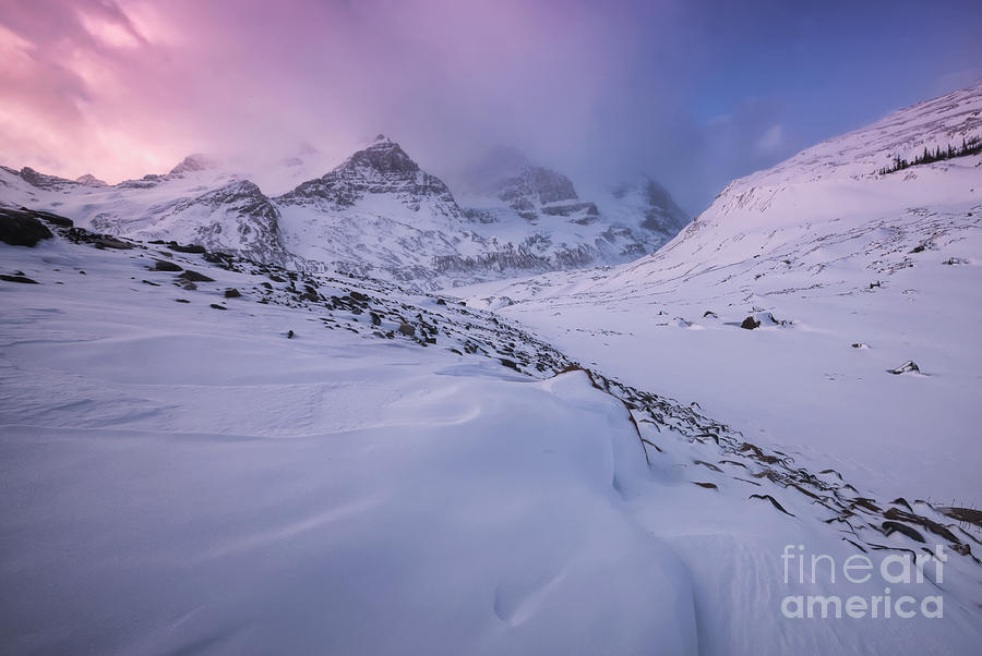 Winter at the Columbia Icefields Photograph by Dan Jurak