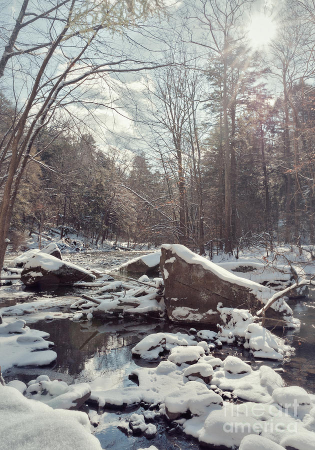 Winter Photograph - Winter At The Creek by Danielle Neil