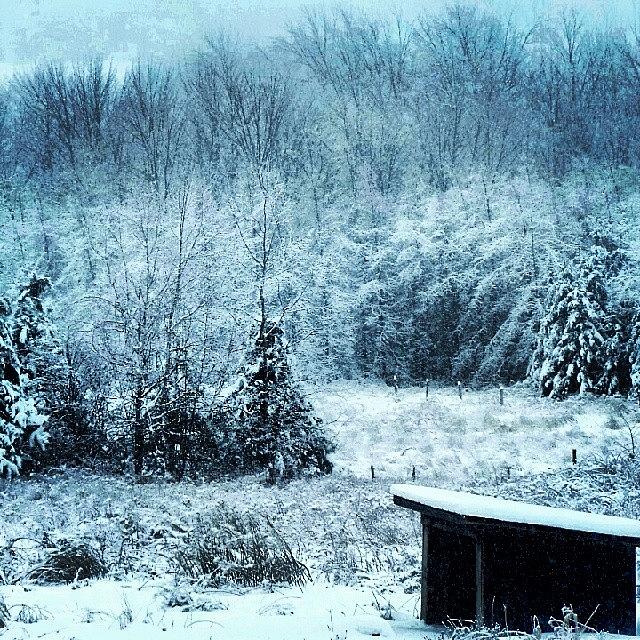 Winter At The Farm Photograph by Arminda Mota
