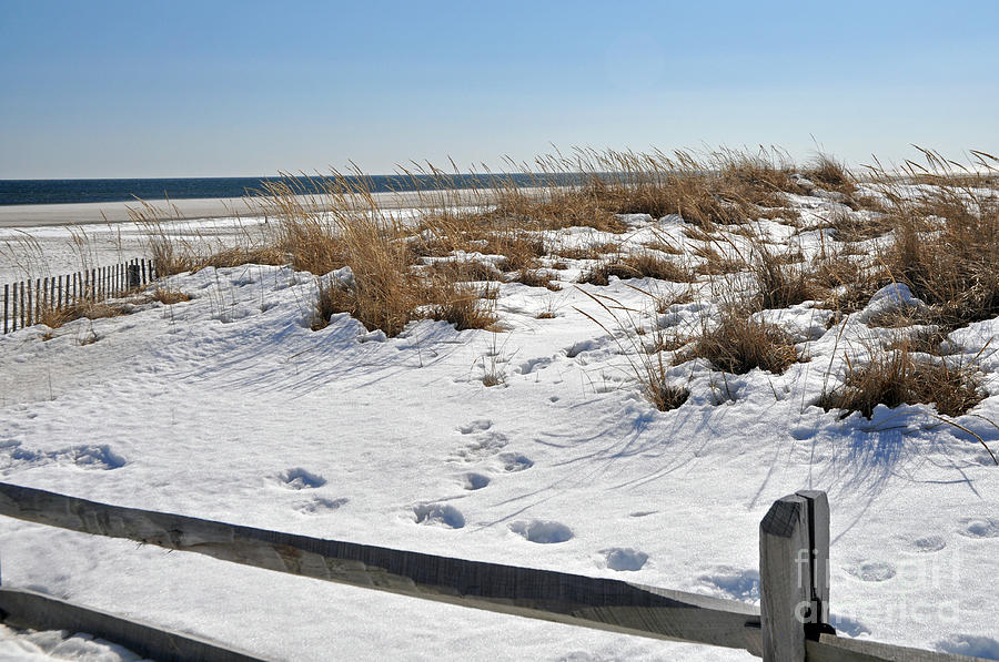Winter at the Jersey Shore Photograph by NightVisions Fine Art America