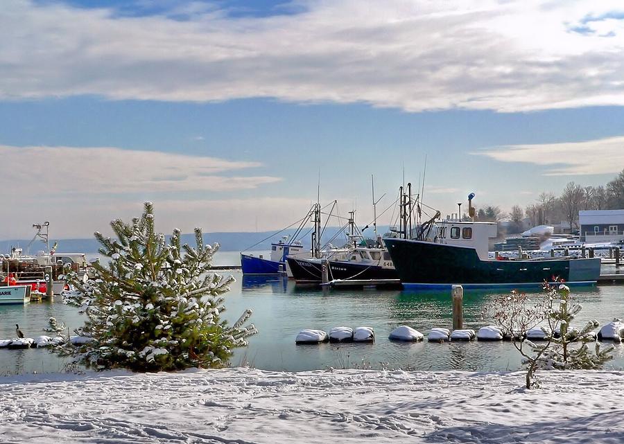 Winter at the Marina Photograph by Janice Drew
