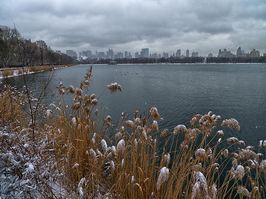Winter at the Reservoir Photograph by Cornelis Verwaal