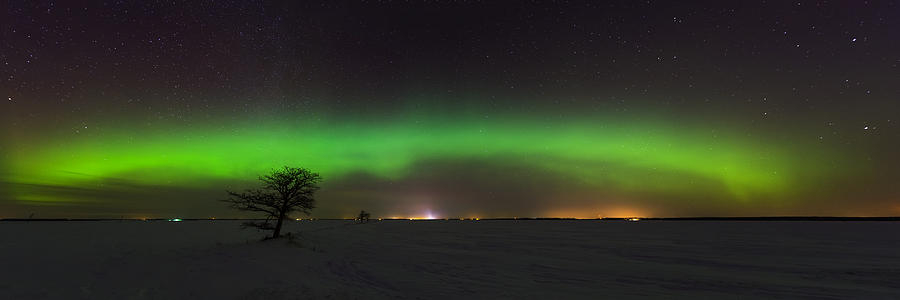 Winter aurora panorama Photograph by Nebojsa Novakovic