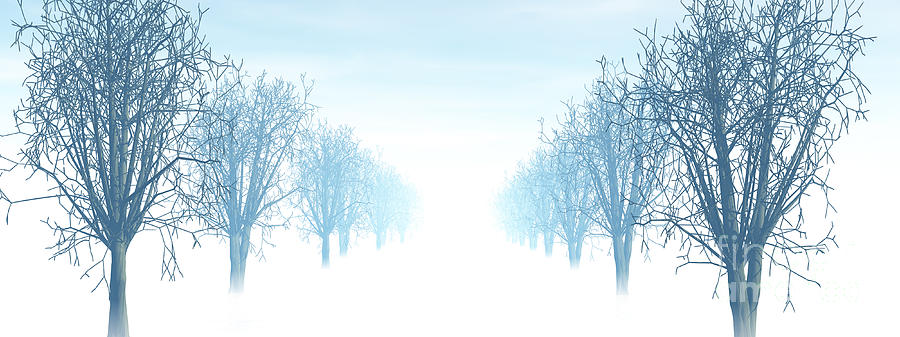 Winter Avenue Digital Art by Nicholas Burningham