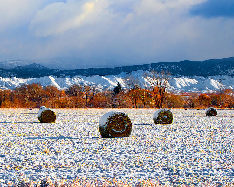 Winter Bales Photograph by Rick Wicker