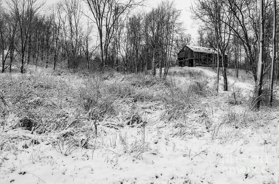 Winter Barn 1 - Black and White Photograph by Mary Carol Story