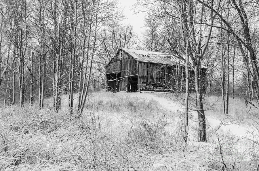 Winter Barn 2 - Black and White Photograph by Mary Carol Story