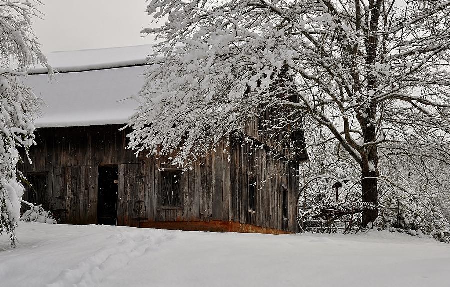 Winter Barn Photograph by Eric Haggart
