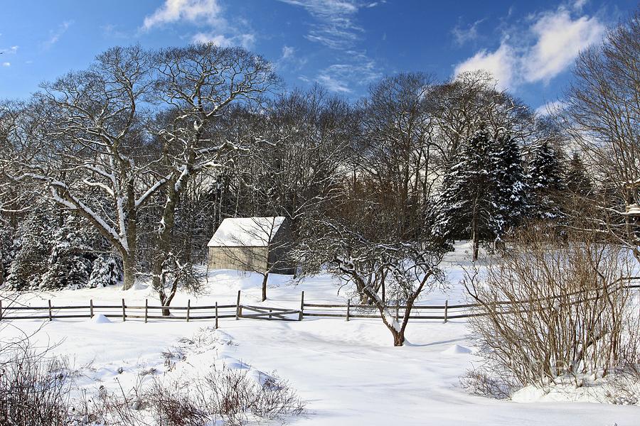 Winter Barn Photograph by Karin Pinkham