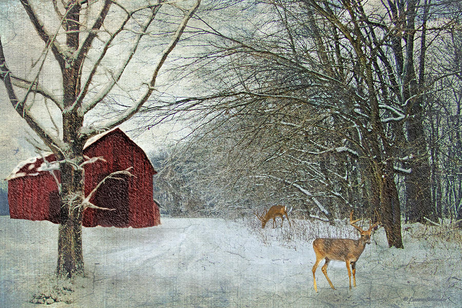 Winter Digital Art - Winter Barn by Lianne Schneider