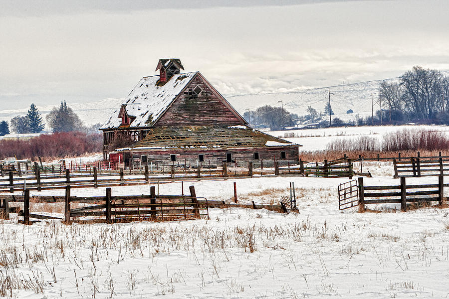 Winter Barn Photograph by Mary Jo Allen