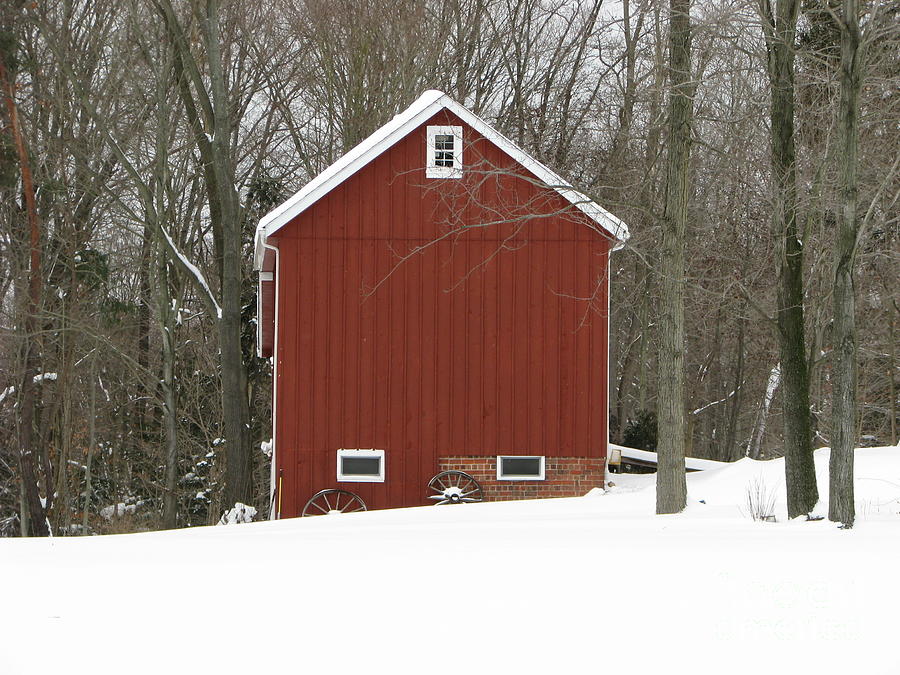 Winter Barn  Photograph by Michael Krek