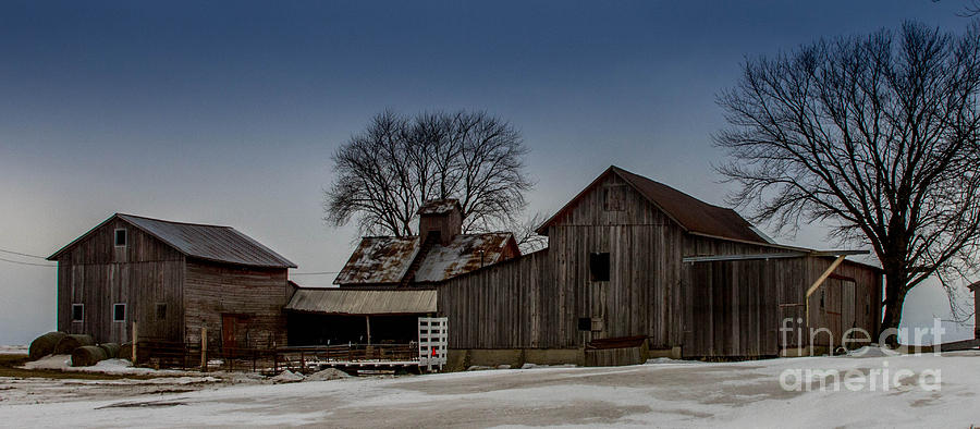 Winter Photograph - Winter Barns by Ann Day