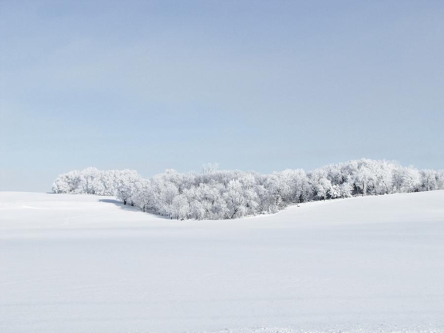 Winter Beauty Photograph by Lori Frisch