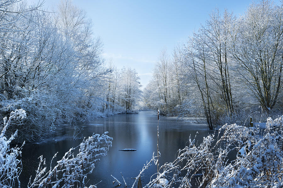 Winter Beauty Photograph by Svetlana Sewell - Fine Art America