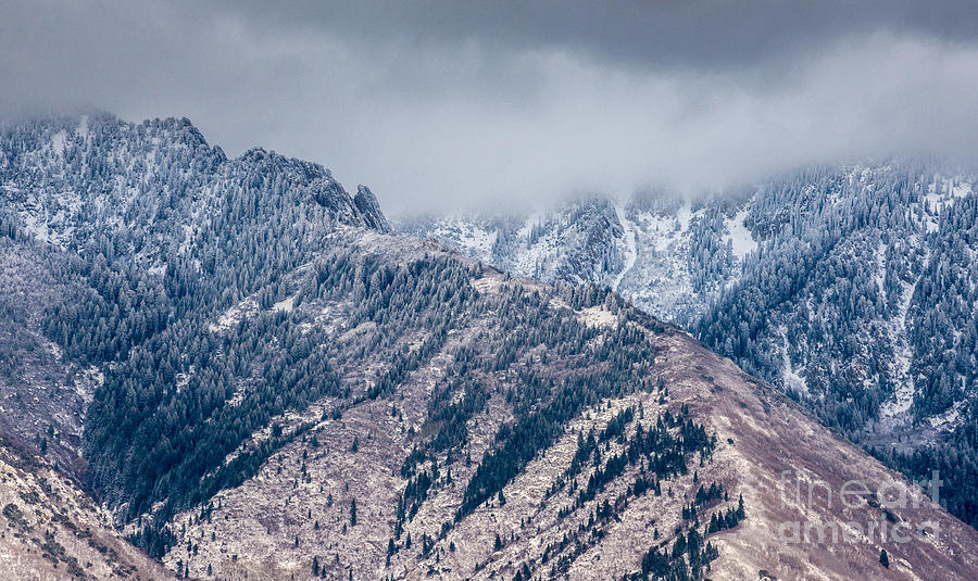 Winter Begins - Wasatch Mountains - Utah Photograph by Gary Whitton