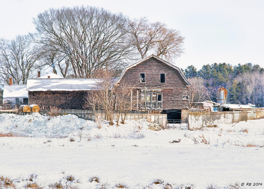 Winter Behind the Barn Photograph by Richard Bean
