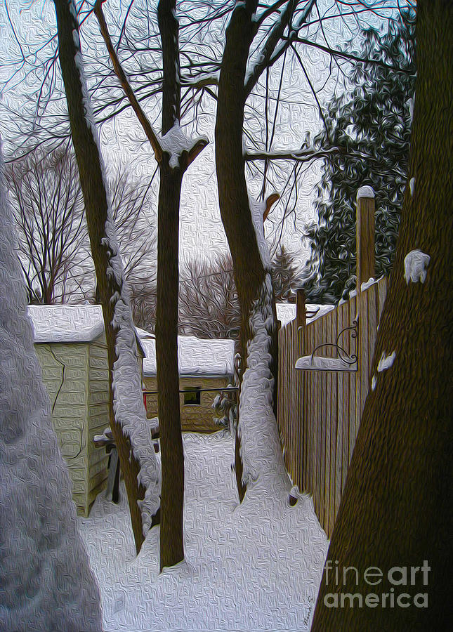 Winter Behind the Garden Sheds Photograph by Nina Silver