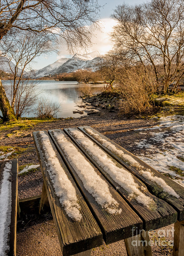 Castle Photograph - Winter Bench  by Adrian Evans