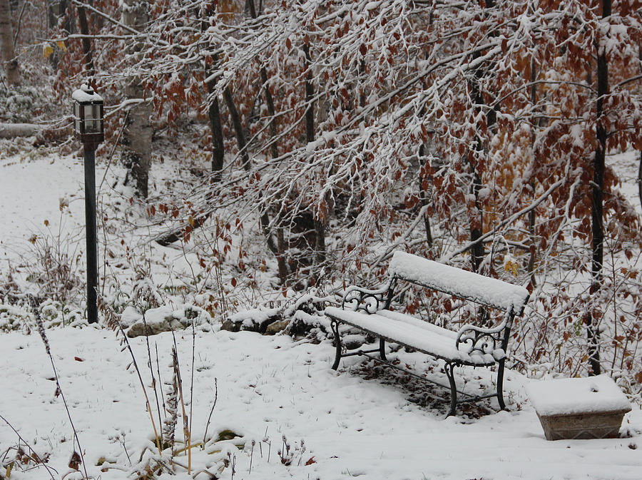 Winter Bench and Lamp post Photograph by Vance Bell
