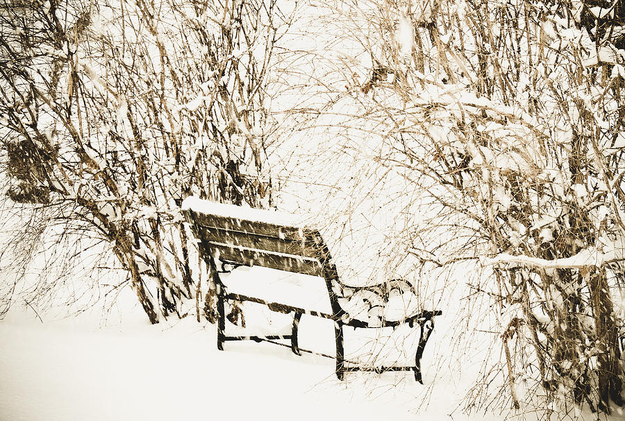 Winter Bench Photograph by Tracy Salava - Fine Art America