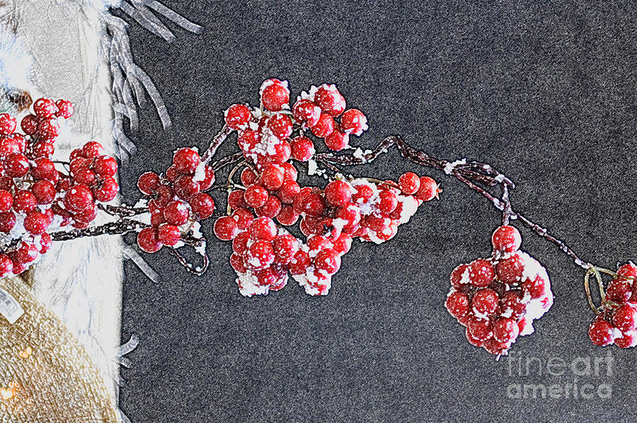 Winter Photograph - Winter Berries II by Karin Everhart
