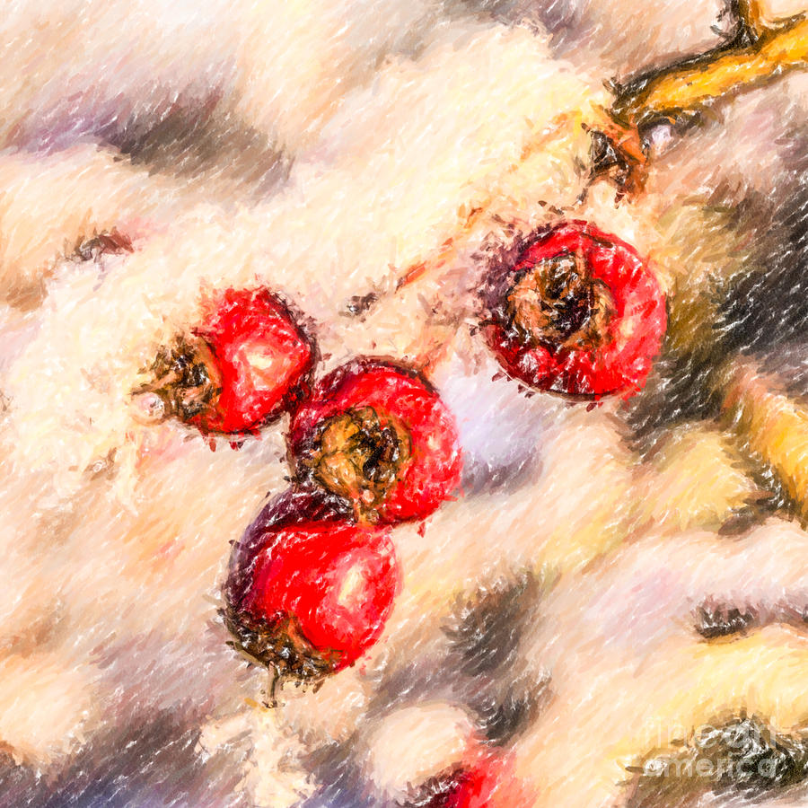 Winter Digital Art - Winter berries by Liz Leyden