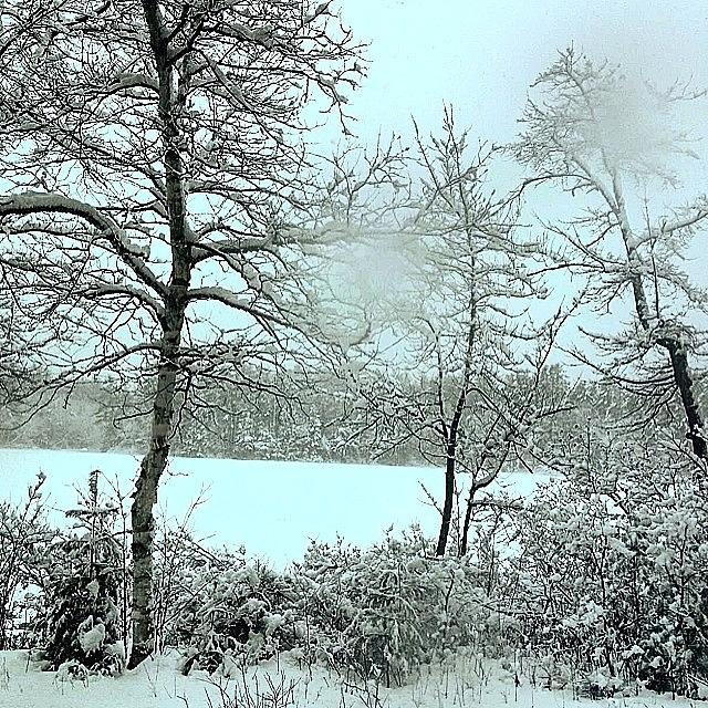 Winter Photograph - Winter Bliss by Mel Garvin