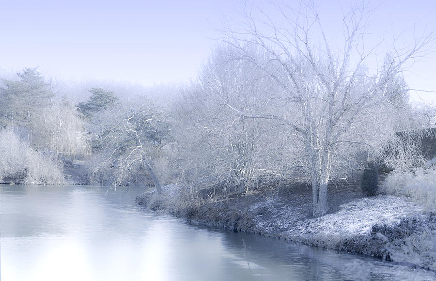 Winter Blue and White Photograph by Julie Palencia