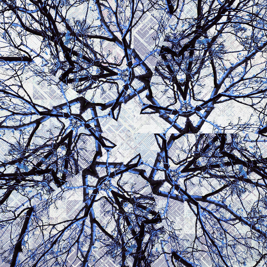 Winter Blue Kaleidoscope 2 Digital Art by Shawna Rowe