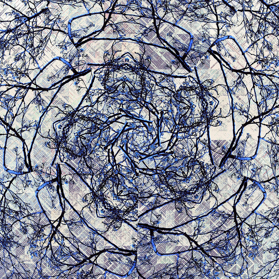 Winter Blue Kaleidoscope Digital Art by Shawna Rowe
