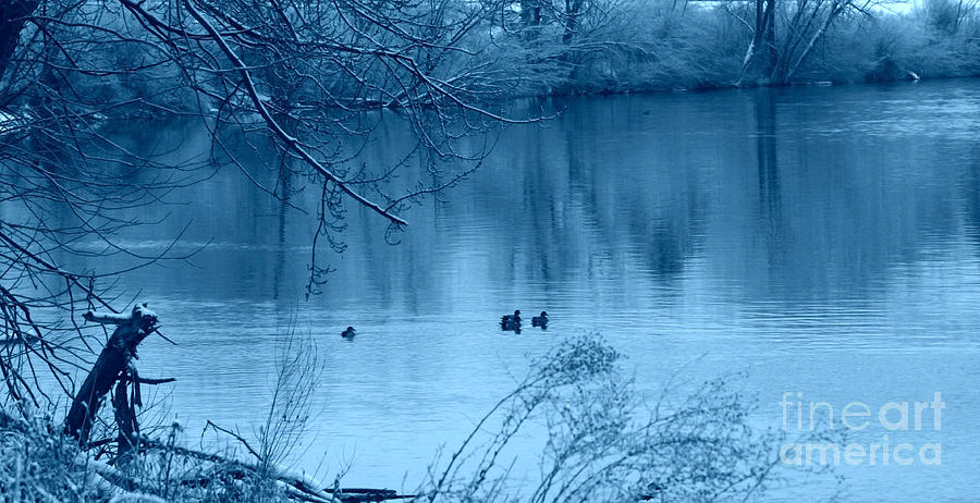 Winter Blue River With Ducks Photograph