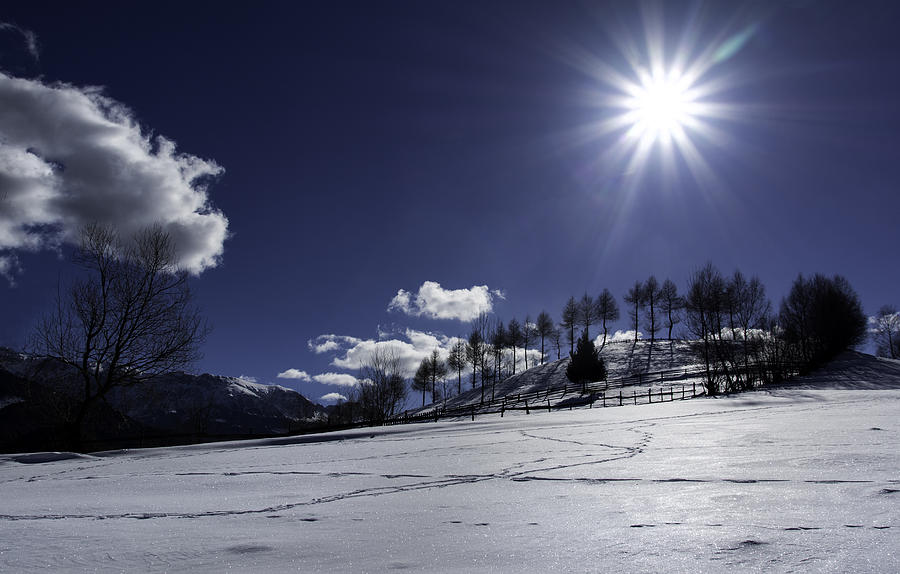 Winter Photograph - Winter Blue Sky by Gutescu Eduard