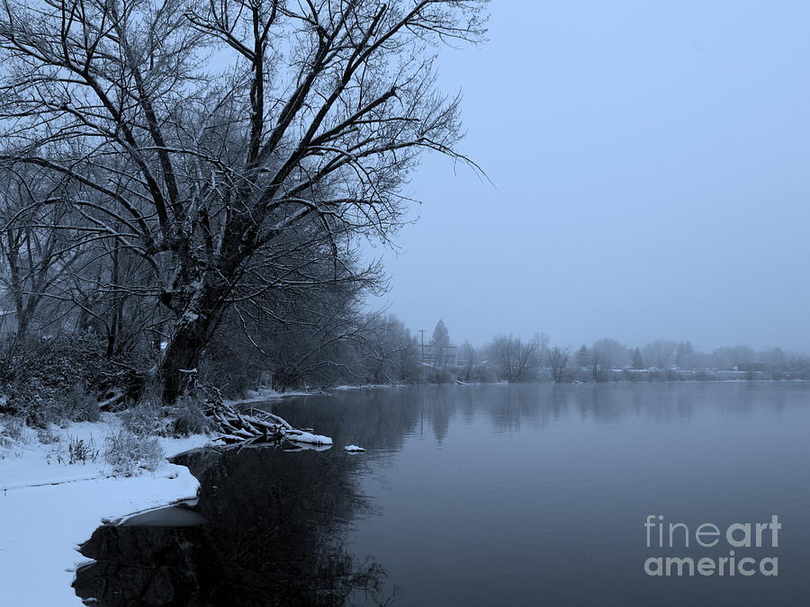 Blue Photograph - Winter Blues by Carol Groenen
