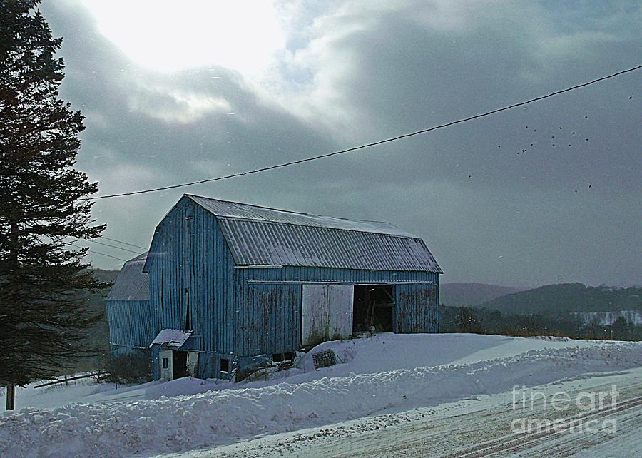 Winter Photograph - Winter Blues by Christian Mattison