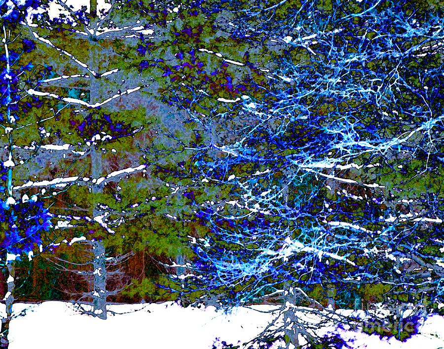 Winter Digital Art - Winter Blues by Dale   Ford
