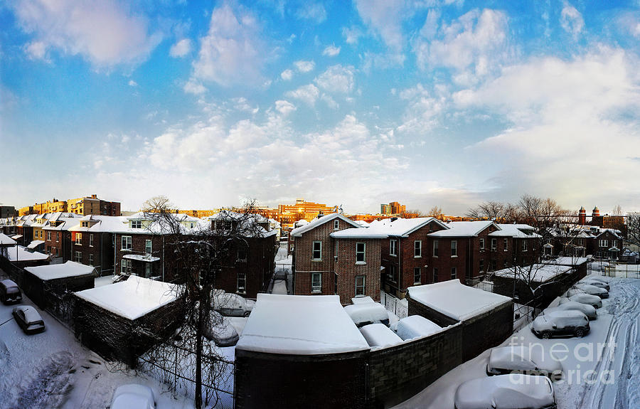 Winter Photograph - Winter Blues by Nishanth Gopinathan Winter Photograph - Winter Blues by Nishanth Gopinathan