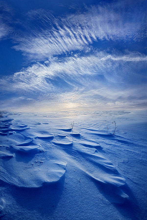 Winter Born Photograph by Phil Koch