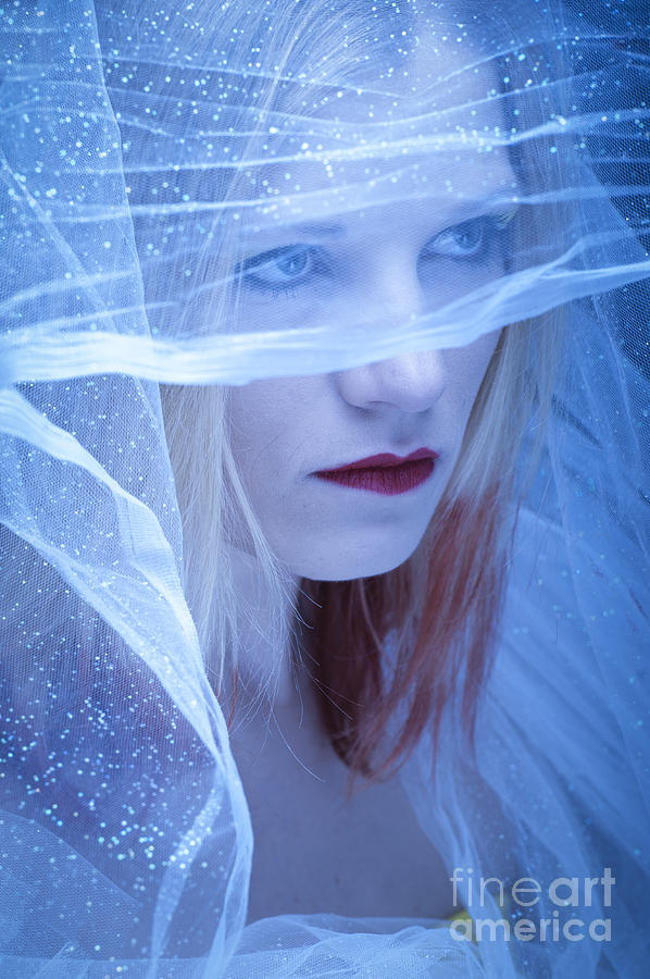 Winter Bride Photograph by Donald Davis